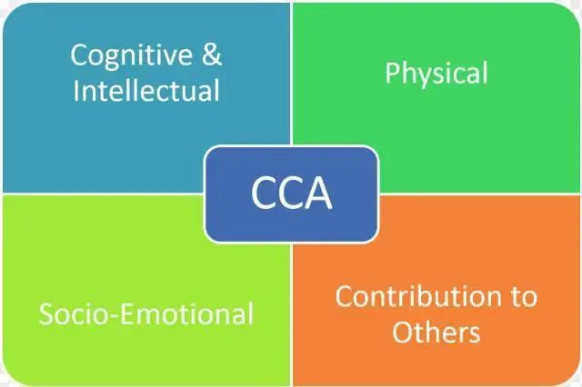 “1岁小孩也要补课”？新加坡华人妈妈正在批量生产废掉的孩子！？(图11)