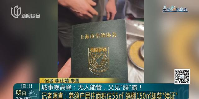 又见“鸽”霸!无人能管?沪一小区居民深受其苦14年(图6)