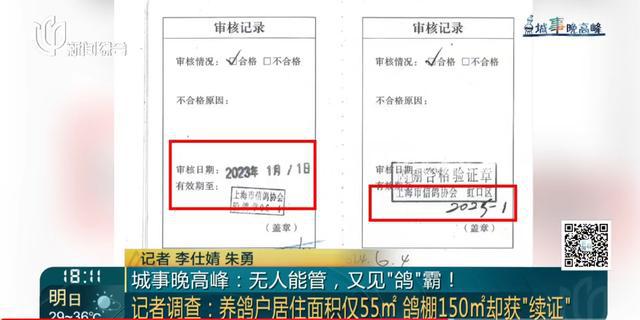 又见“鸽”霸!无人能管?沪一小区居民深受其苦14年(图7)