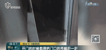 又见“鸽”霸!无人能管?沪一小区居民深受其苦14年(图3)