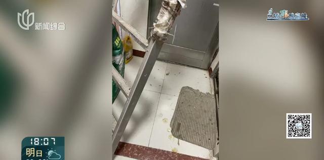 又见“鸽”霸!无人能管?沪一小区居民深受其苦14年(图4)