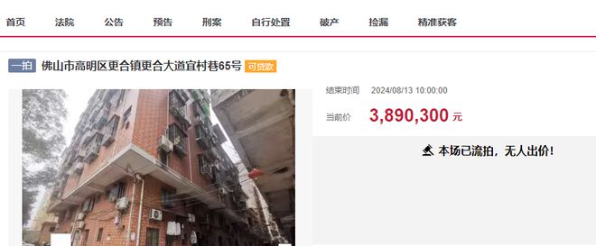 佛山市一栋1371平方米的ag凯发巨无霸私人楼拍卖被人捡漏311万就买下(图2)