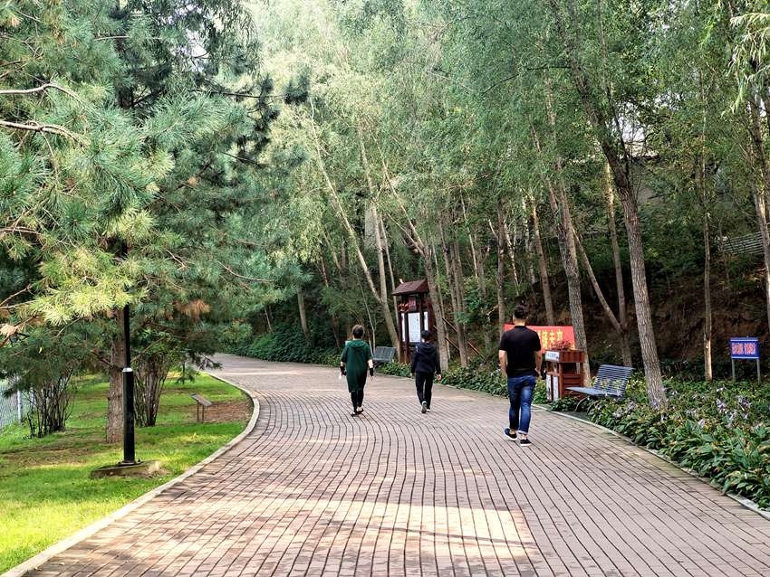 吉林德惠：打造生态宜居“凯发旗舰厅美丽图景”(图15)