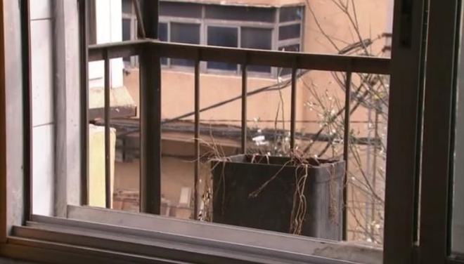 央视点赞沈阳女孩！(图6)