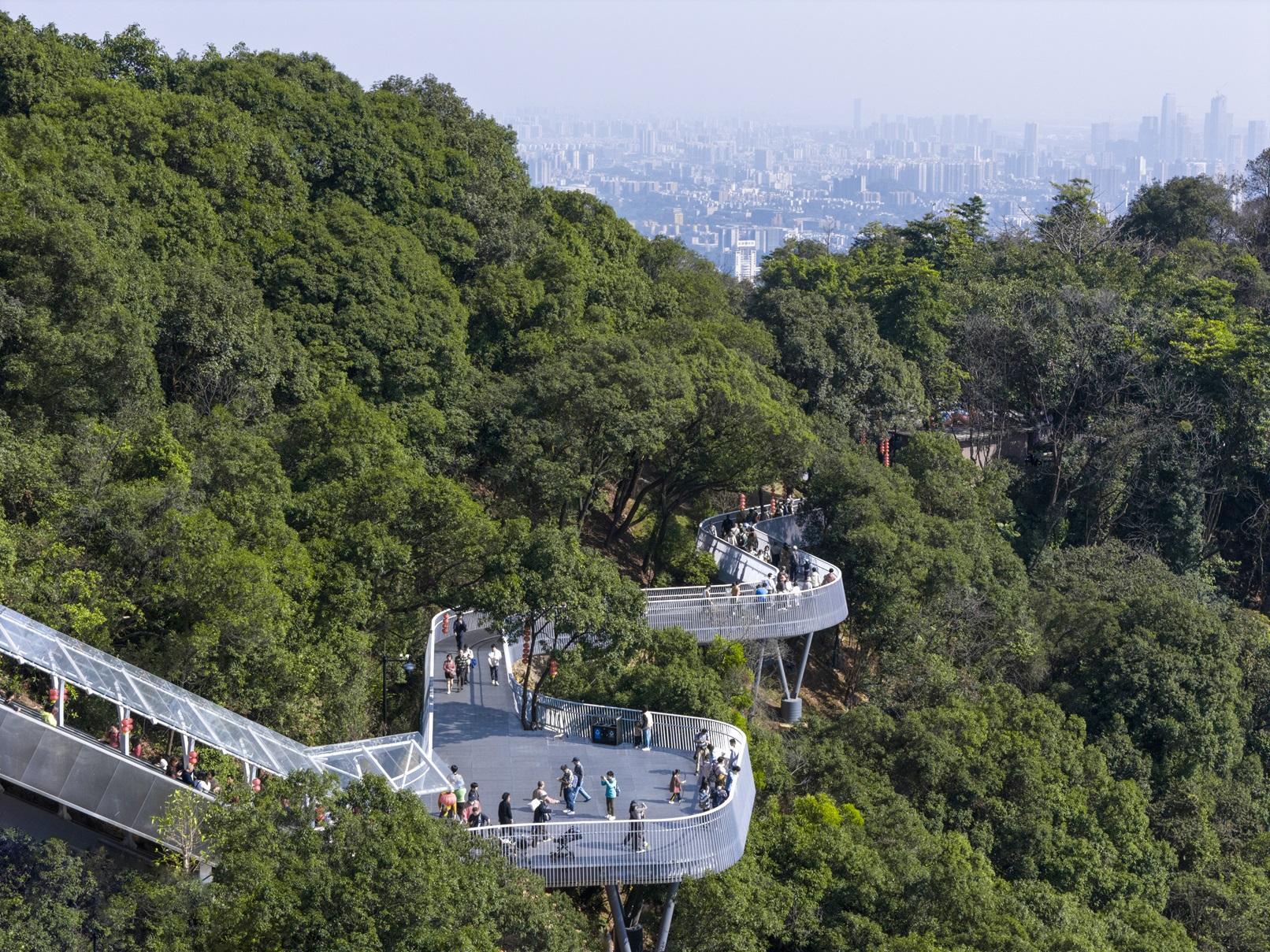 凯发国际林间飞白练护君上青云一条栈道扶梯为广州城市建设品质代言(图5)
