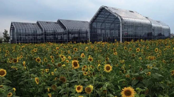 藏不住了！总价170万入手240㎡别墅还是现房！(图9)