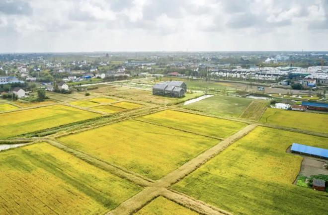 藏不住了！总价170万入手240㎡别墅还是现房！(图10)