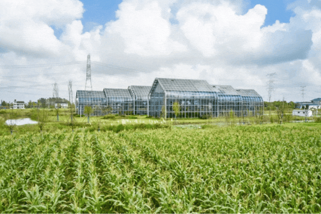 藏不住了！总价170万入手240㎡别墅还是现房！(图8)