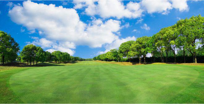 五个院子的别墅(2024)网站-五个院子的别墅楼盘详情-户型配套(图14)