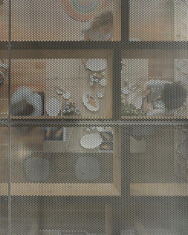 CoconutCrab澳大利亚新南威尔士州(图10)