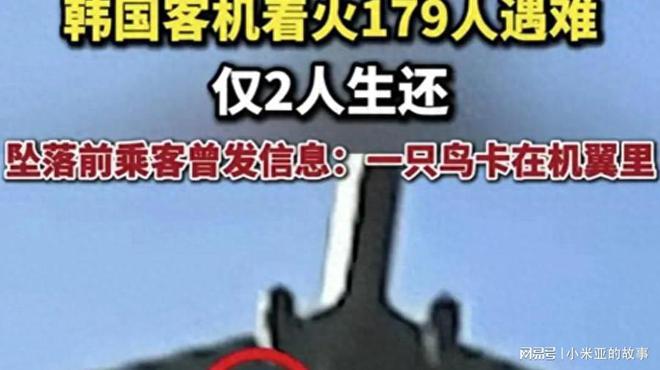 后续!韩国空难者遗体无一完整一家9口遇难在野党党首下跪