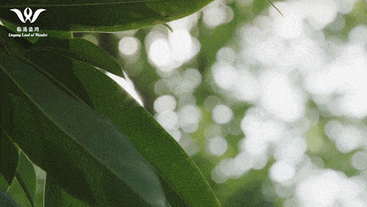 2025泷悦蓝湾(售楼处)网站-奉贤电建地产泷悦蓝湾-欢迎您(图49)