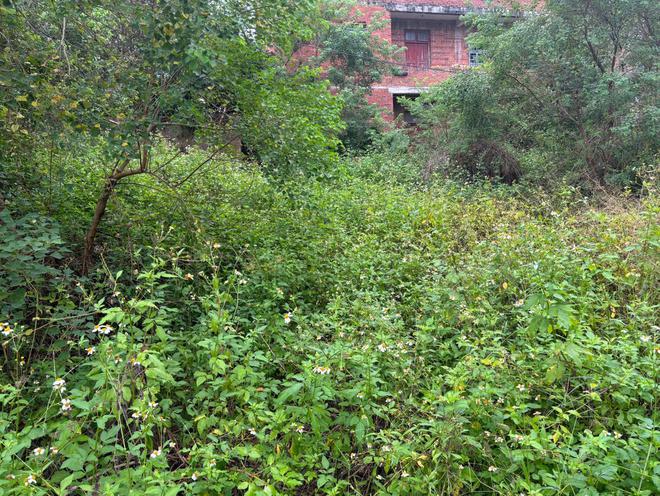 37岁男子一个人回家过年房子空落落满是灰尘：这就是10级孤独吧(图5)