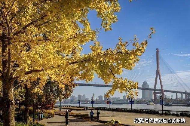 瑞安翠湖滨江售楼处电话翠湖滨江售楼中心电话楼盘评测首页网站24小时热线(图5)
