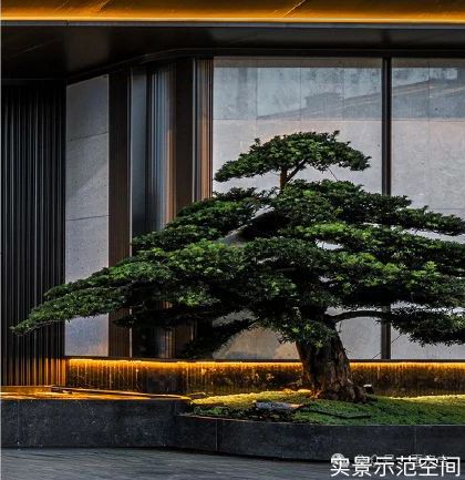 松江招商时代潮派(售楼处)首页网站-2025楼盘评测_户型丨停车位(图4)