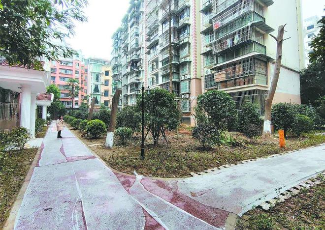 南充：多方协调这个小区改造即将完工