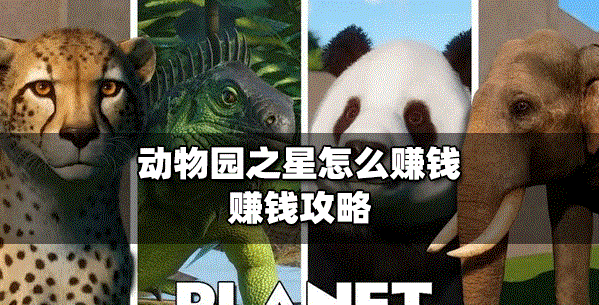 动物园之星手游怎么赚钱刷钱方法介绍