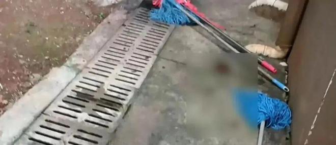3岁男孩从27楼坠落当场不幸身亡(图2)