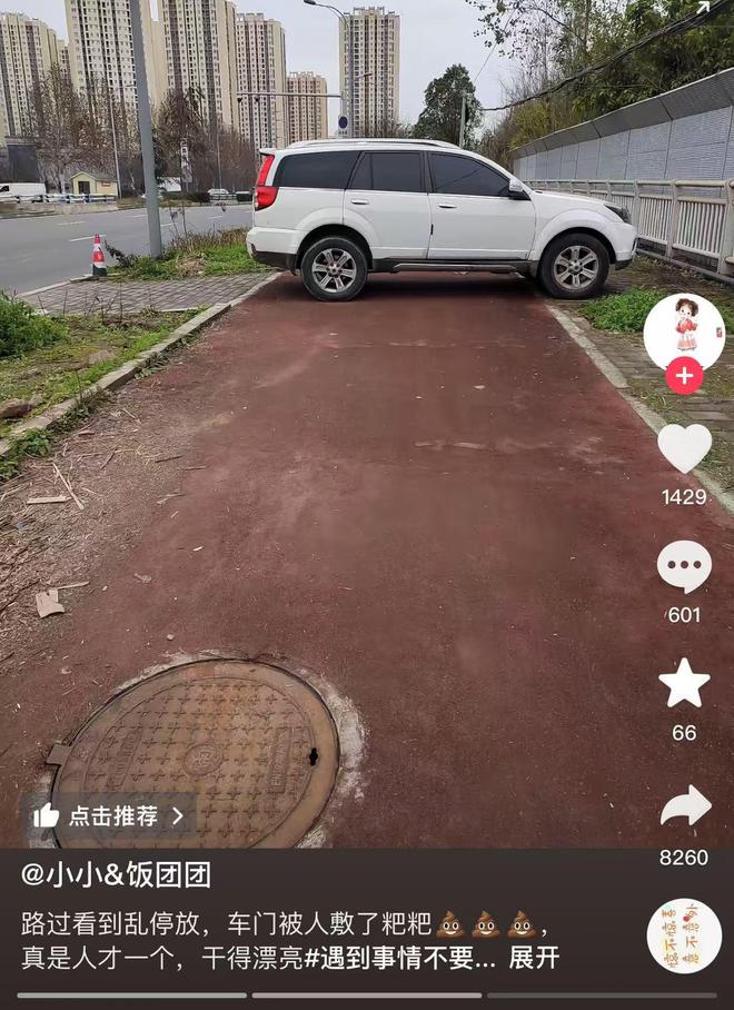 网友ag凯发拍到路边乱停车辆的门把手被人敷了大便(图2)