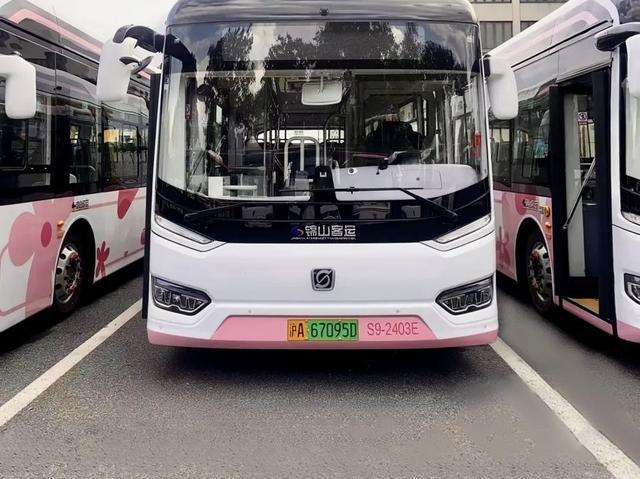？第一批28辆“小花花”来了！(图2)
