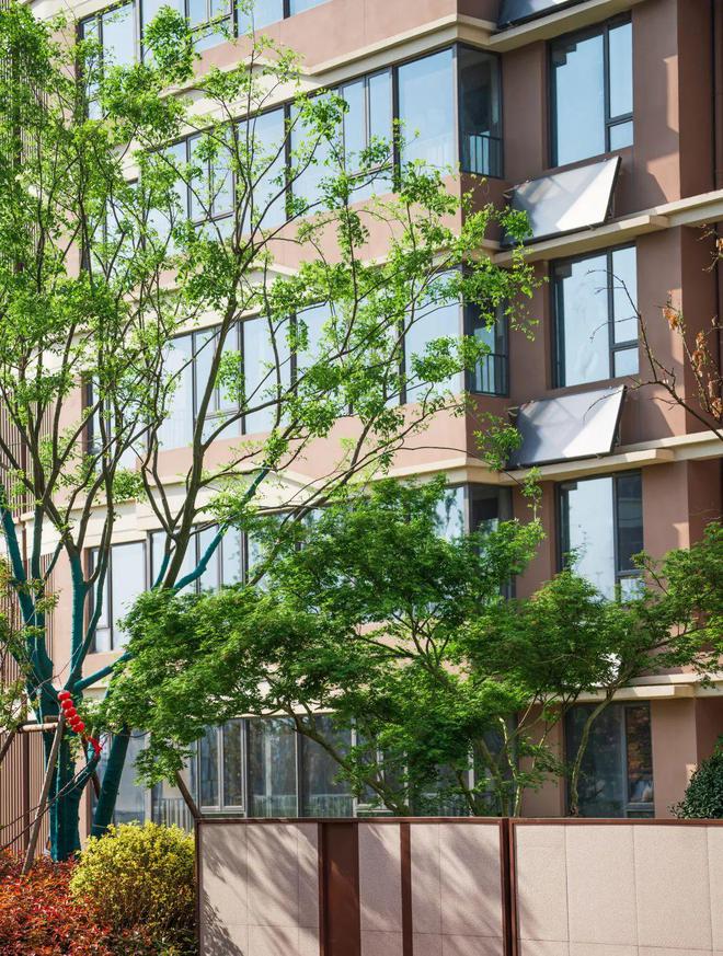 3米层高只是起点！这座“城”如何提前8年对标国家新规？(图2)