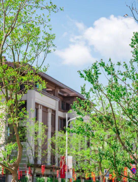 3米层高只是起点！这座“城”如何提前8年对标国家新规？(图3)