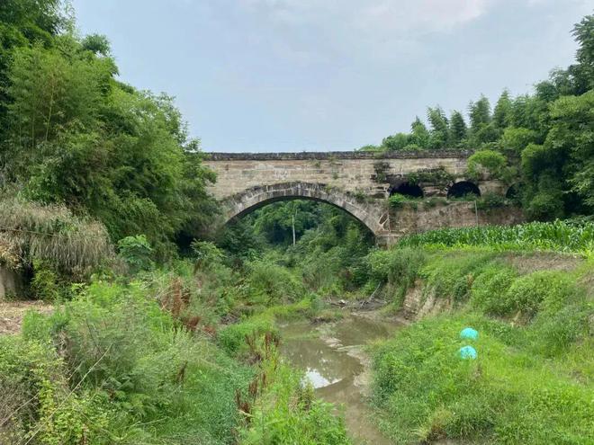 春游绵阳观花乡野‖渡槽边的烟火人间：水润万物情满乡野(图2)