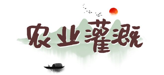 春游绵阳观花乡野‖渡槽边的烟火人间：水润万物情满乡野(图3)