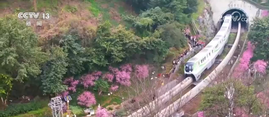 寻一片花海沐浴春风暖阳解锁打开春天的“N”种方式(图5)