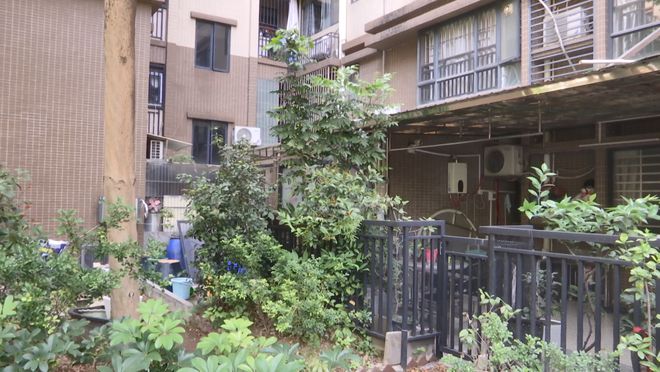 ag凯发鱼池、凉亭、阳光房佛山一小区违建“百花齐放”业主:反映多次未有解决(图3)
