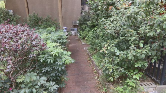 ag凯发鱼池、凉亭、阳光房佛山一小区违建“百花齐放”业主:反映多次未有解决(图4)