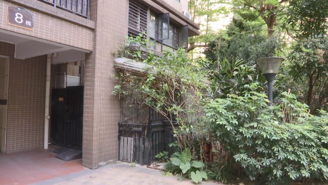 ag凯发鱼池、凉亭、阳光房佛山一小区违建“百花齐放”业主:反映多次未有解决(图7)