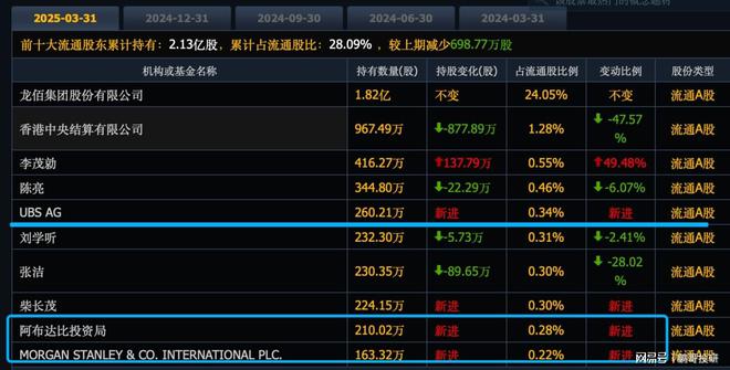 阿布达比刚买进A股战略金属股瑞银和摩根也加仓都被套牢(图1)