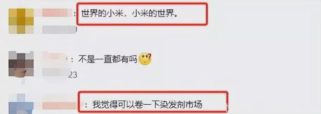 雷军卸任后大变身！小米美业新凯发国际战场揭晓！(图9)