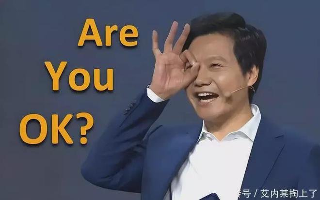 雷军卸任后大变身！小米美业新凯发国际战场揭晓！(图17)
