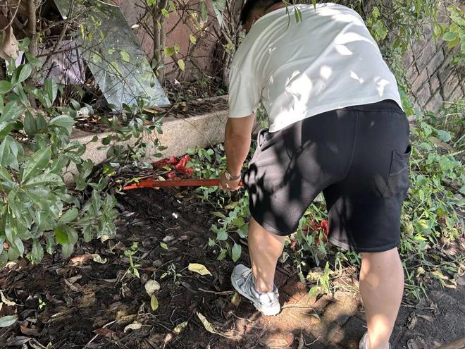 池塘边死鱼散发恶臭！市民闹心！金华这里(图2)