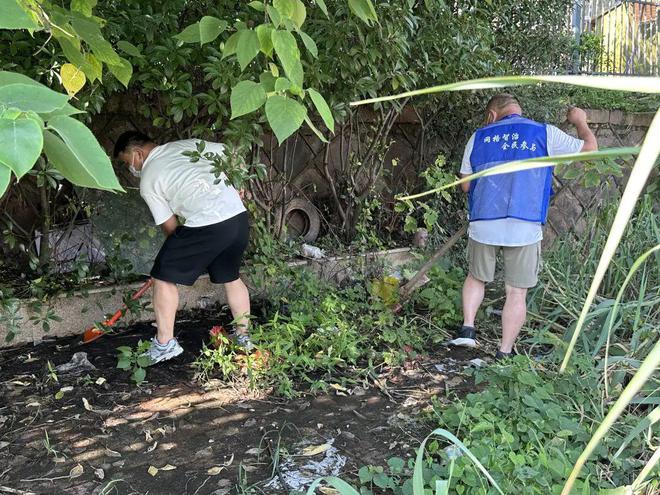 池塘边死鱼散发恶臭！市民闹心！金华这里