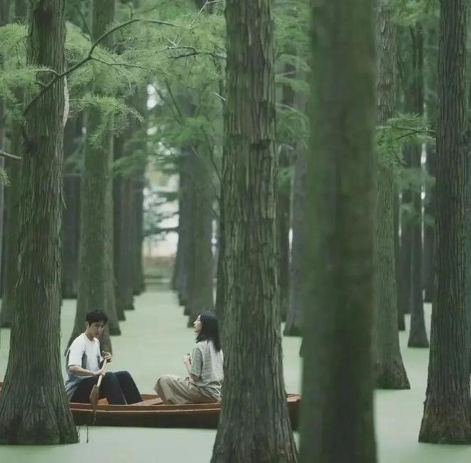 一到夏天亮马河就成了北京中产的母亲河(图4)