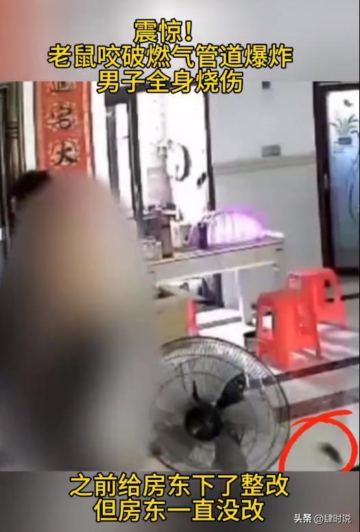凯发国际燃气爆炸男子烧伤后续：房东忽视整改通知原因曝光与老鼠有关(图17)