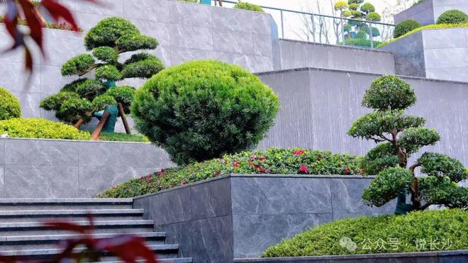 7字头！五一这个盘卖爆了！0公摊鼻祖！教科书实景！(图6)