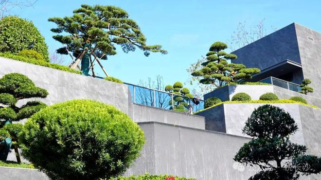 7字头！五一这个盘卖爆了！0公摊鼻祖！教科书实景！(图5)