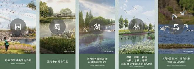 ☋楼市新热潮@顺德澐璟·澐鹭售楼处发布：：领先时代美好未来(图7)