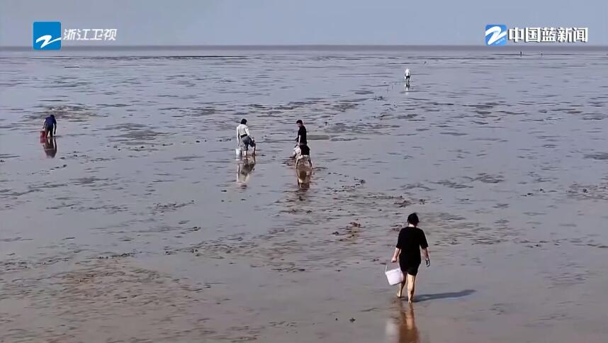 Z调查丨夏日寻“野趣”安全隐患生（一）任性“赶海”要不得(图4)