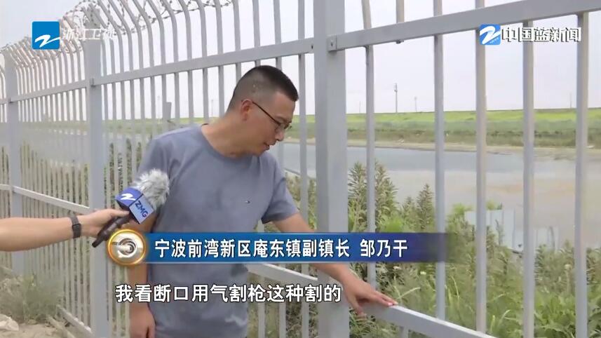 Z调查丨夏日寻“野趣”安全隐患生（一）任性“赶海”要不得(图7)