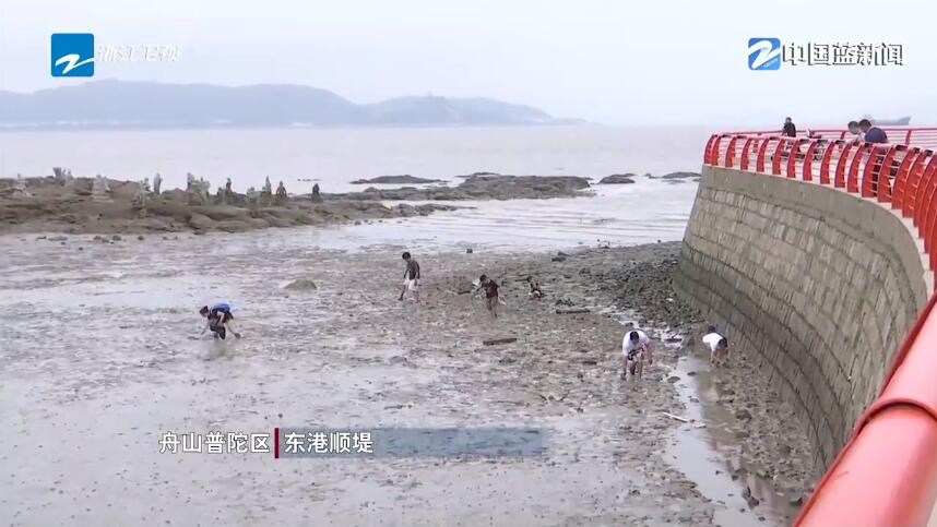 Z调查丨夏日寻“野趣”安全隐患生（一）任性“赶海”要不得(图8)