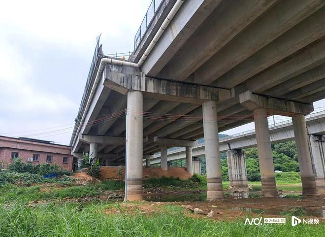 东莞一车坠桥致5死！最新回应：正对道路设计等进行调查ag凯发(图1)