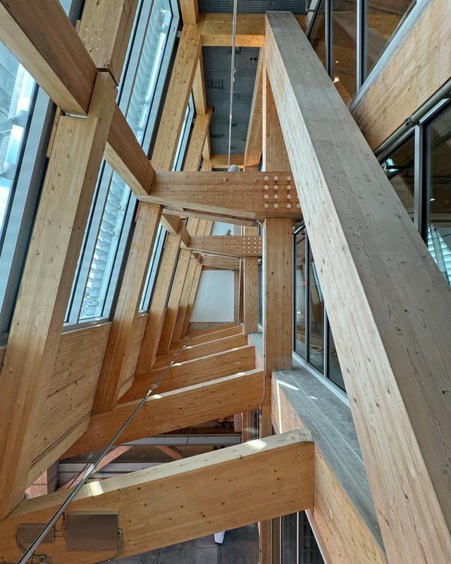 “育教于木”：美国一建筑学院教学楼因“高颜值”走红(图3)