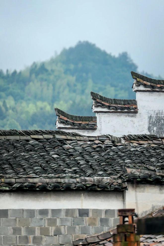 古镇都死了古镇民宿还怎么活？(图13)