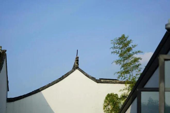 古镇都死了古镇民宿还怎么活？(图17)