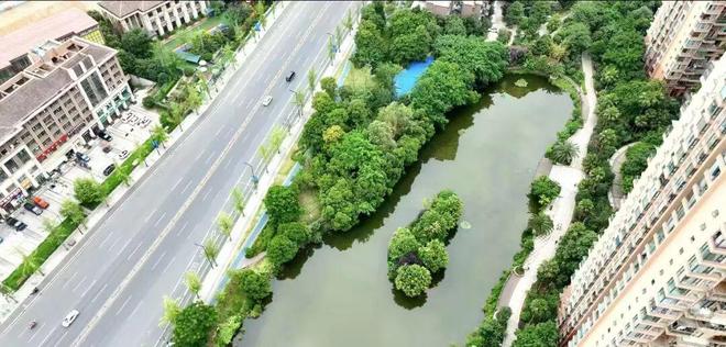 多方联动无死角清洁！爱国卫生运动擦亮街区“净优亮美”底色(图4)